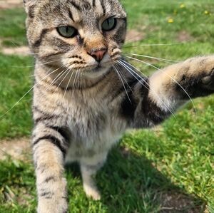 Meet your Posher, Abigail